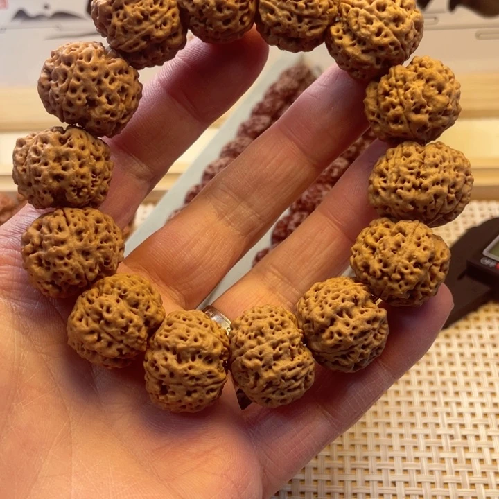 金刚菩提手串?***?安娜蜂王