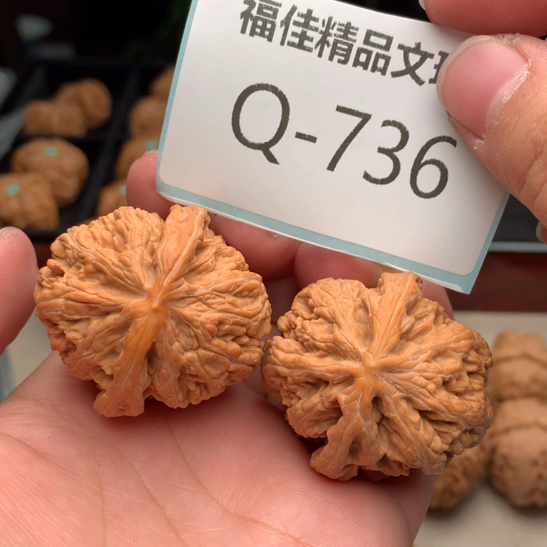 文玩核桃把件40粗筋………