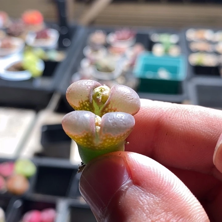 18126一个一个一个