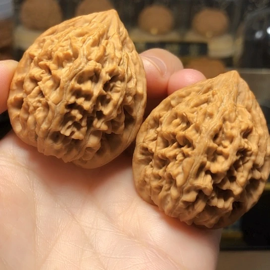 野生小众：秦岭鸡心