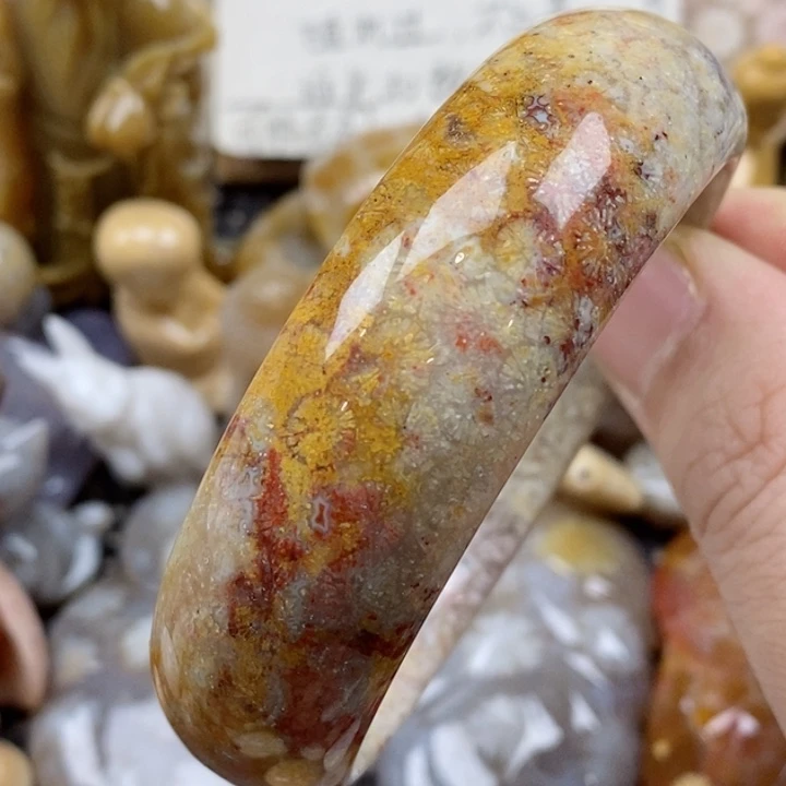 颈饰未镶嵌硅化珊瑚（珊瑚玉）