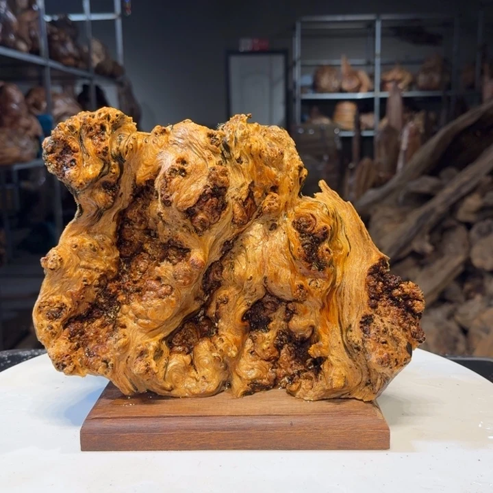 木你****生王一刀琥珀木91