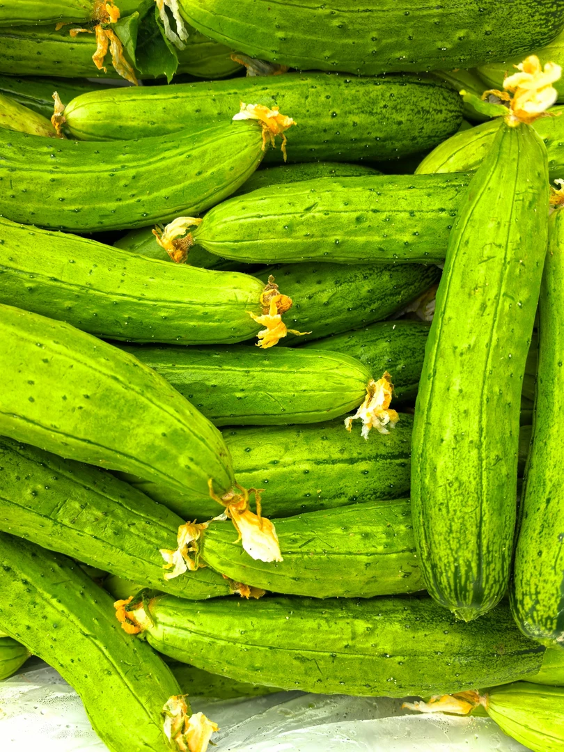 东北山野菜4斤起顺丰