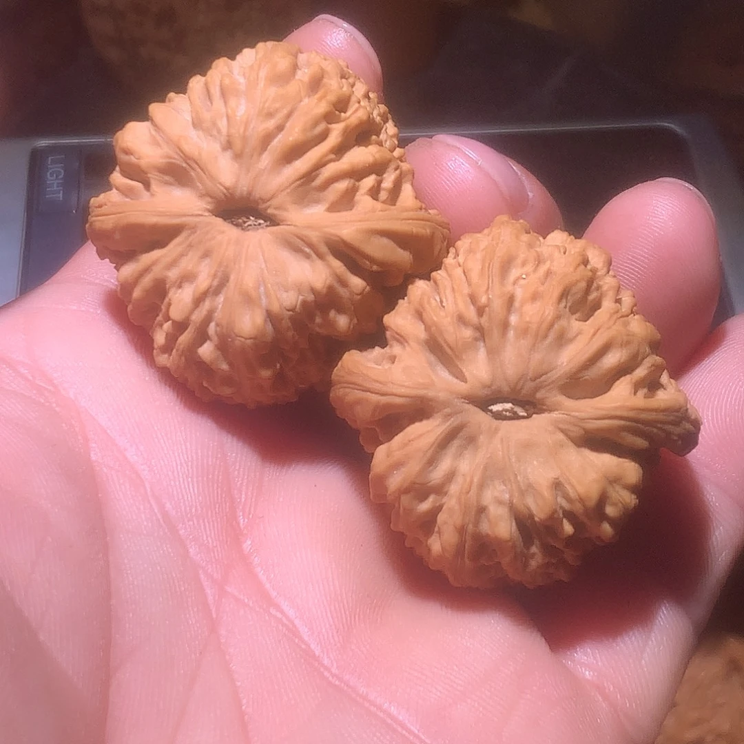 泽***'核桃蓟县山地南疆石全品