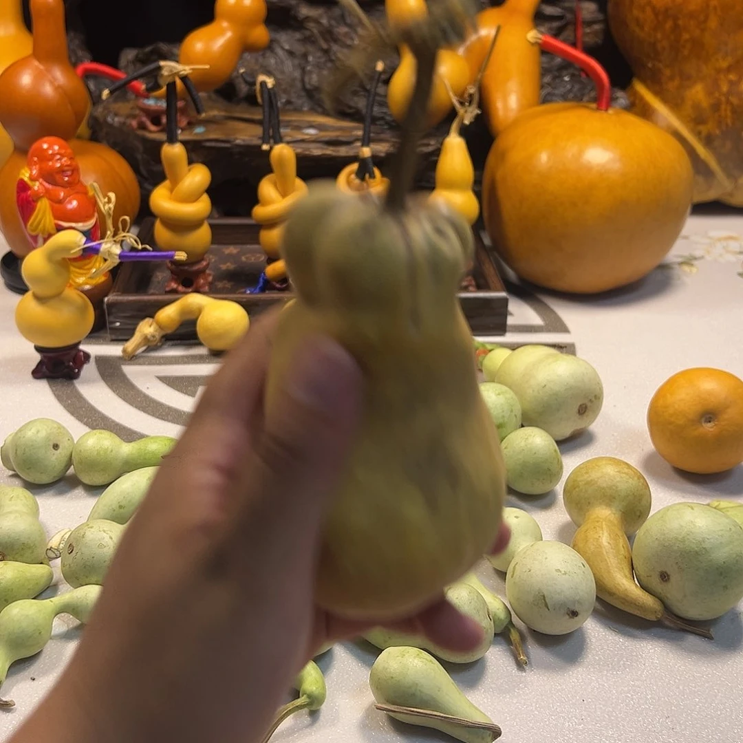 姬*丽哈哈哈哈哈哈哈哈哈哈哈哈哈哈