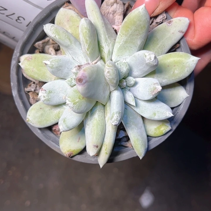 1369哈哈哈哈哈哈哈哈