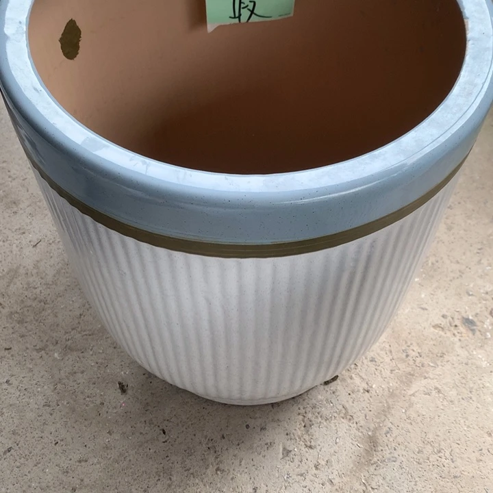 花盆里的小猫咪们都好可爱