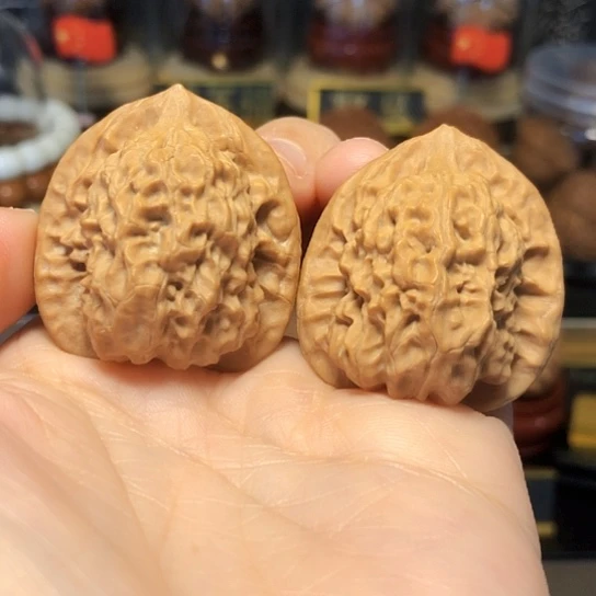 野生小众：关关全品