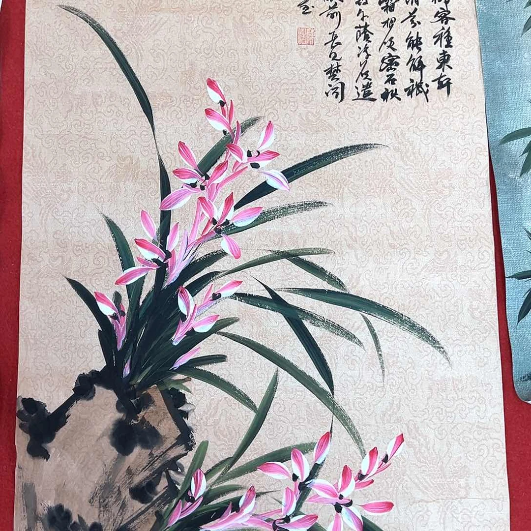 横款福利来了来了来了来啦