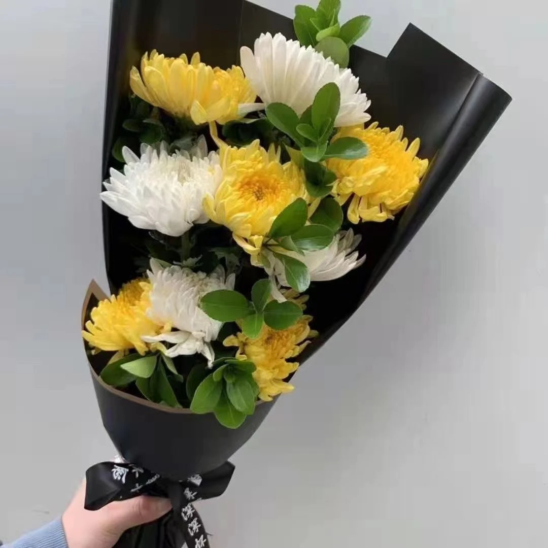 【人工鲜采】新鲜黄白菊花鲜切枝水培基地批发包装好发货