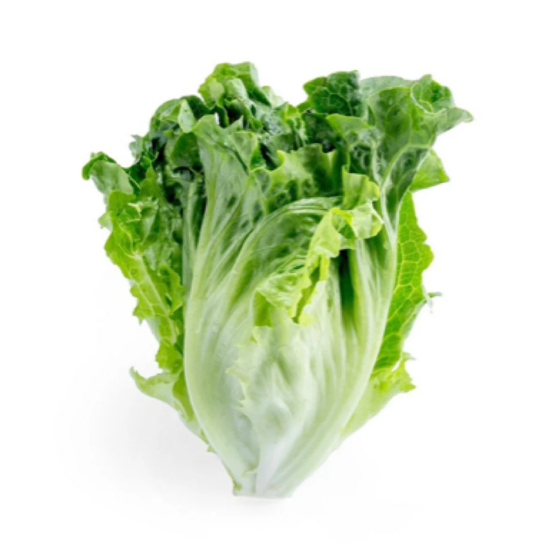 生菜（约500g）