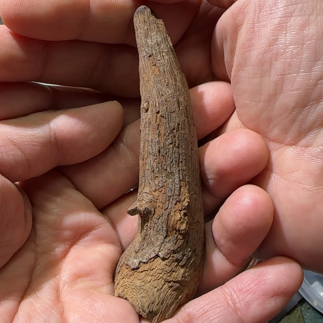 【闪购商品】沉香吊坠正富森红土沉水根布料21.6克