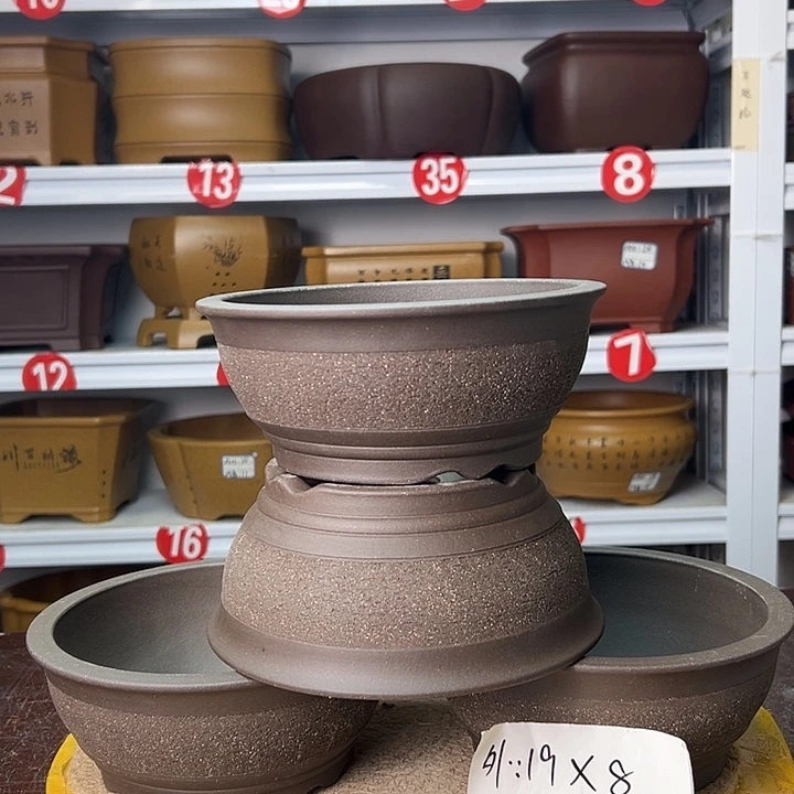 紫砂花盆蛇年大吉