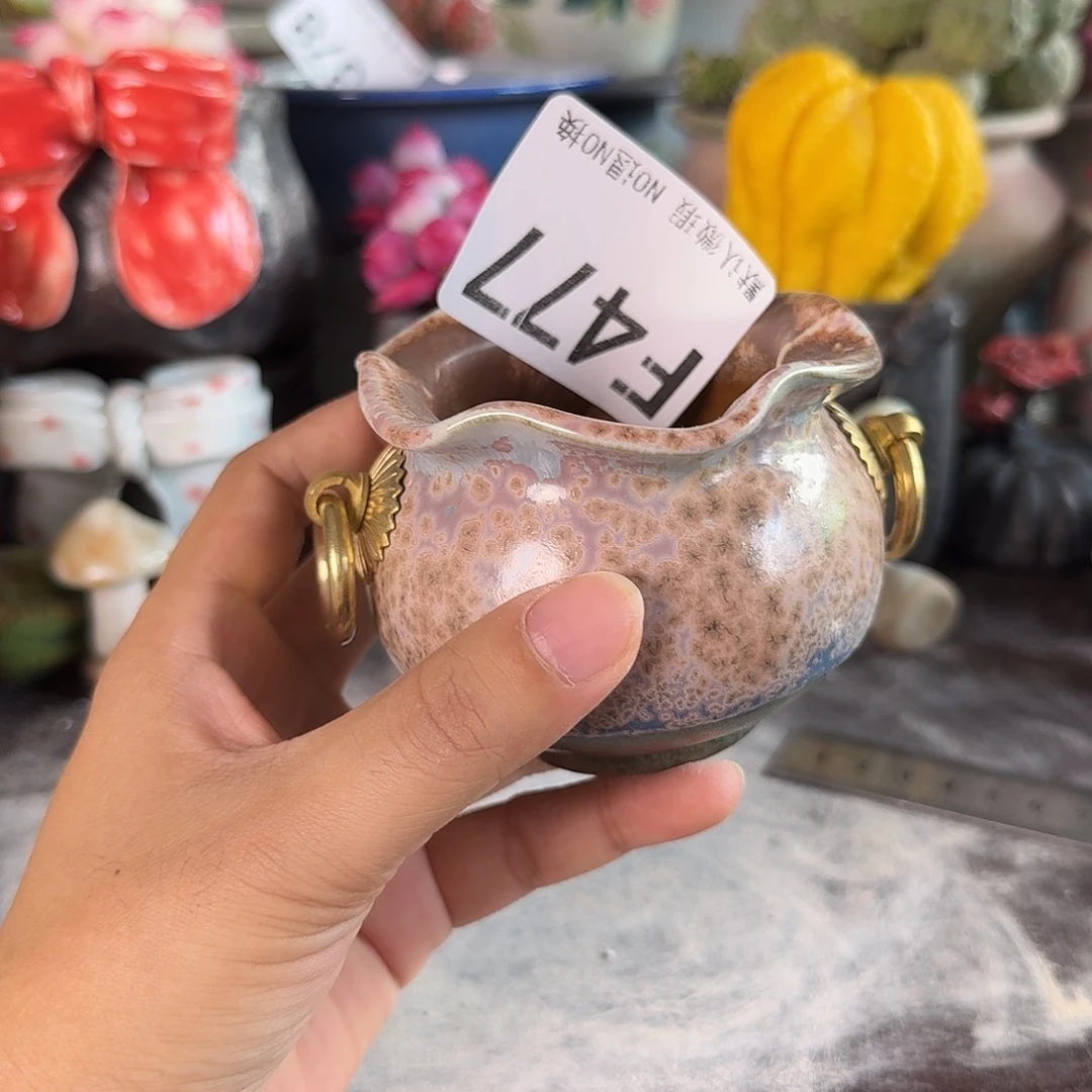 重庆小燕子欢迎大家。477
