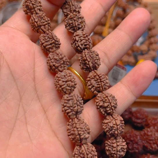 金刚菩提手串Y181/12/5