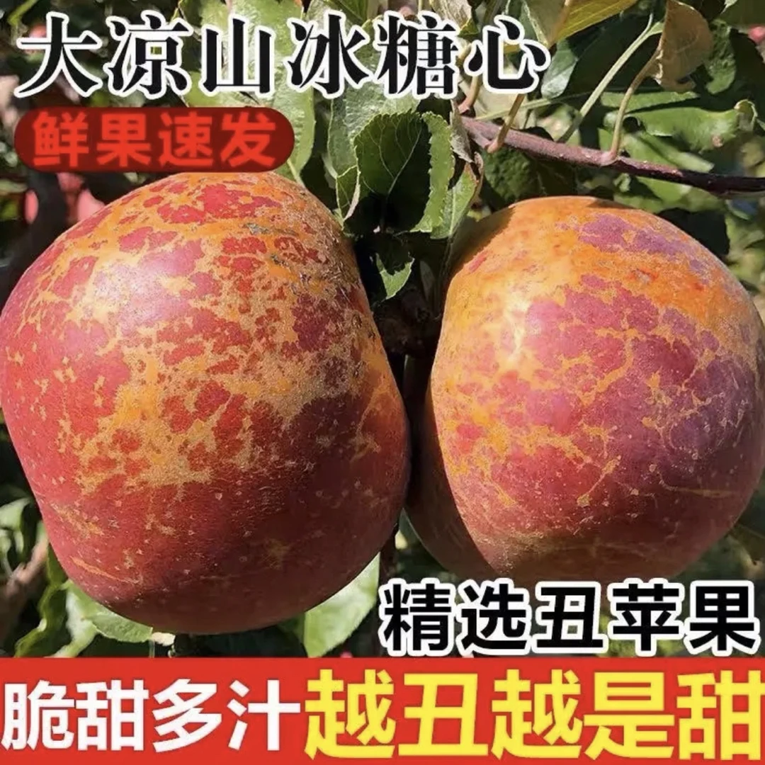正宗大凉山盐源丑苹果 脆甜多汁 现采现摘。