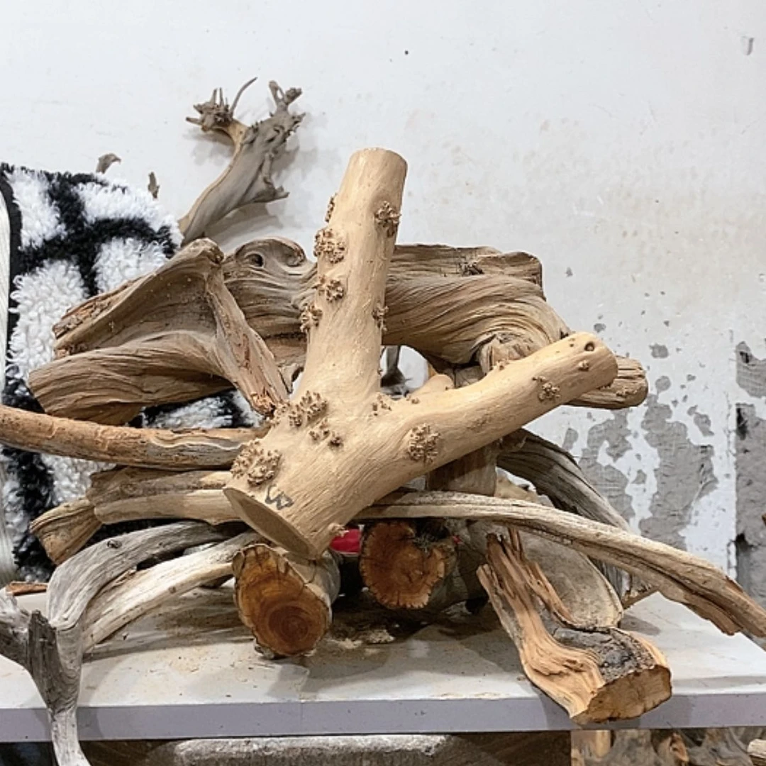 【闪购商品】柏木水**谷我们都是好孩子