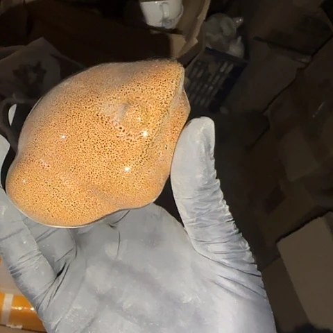 瓷片国营厂库存金蝉