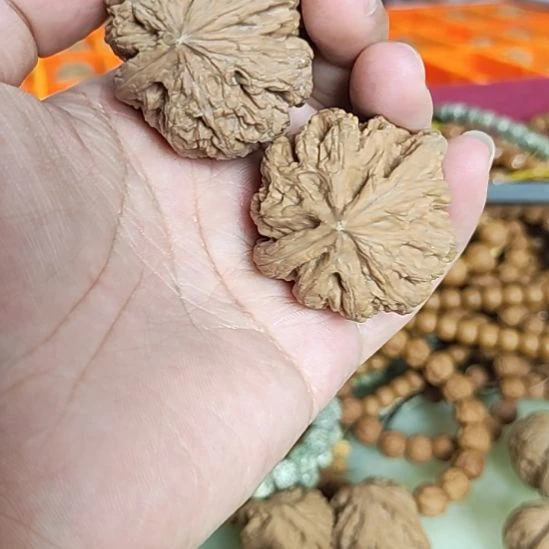 把件文玩核桃42左右瑕疵练手粗筋新手福利