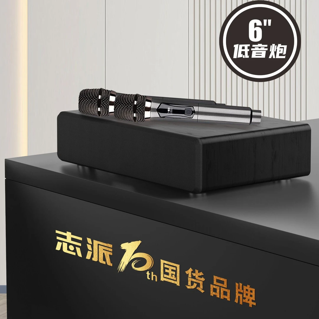 【仅此一波带会员 全网不怕比】志派点歌机KTV音响多功能一体机全套