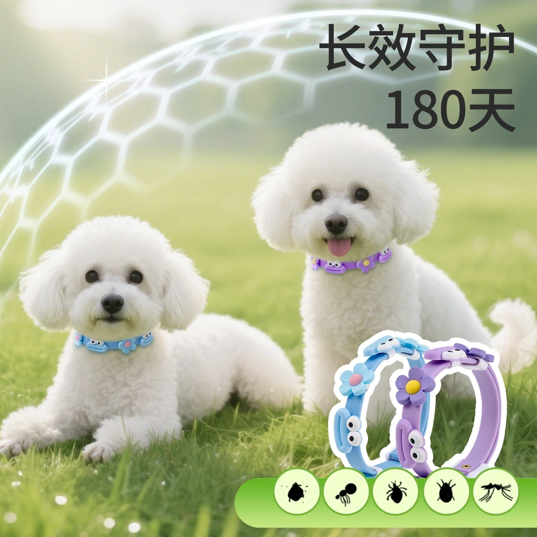 狗狗项圈精油安全防护猫咪颈圈幼猫脖圈宠物脖圈中小型犬小猫项圈