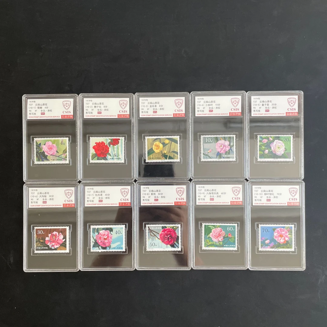 T37云南山茶花邮票 1979年发行 信泰90分 OS 评级盒装