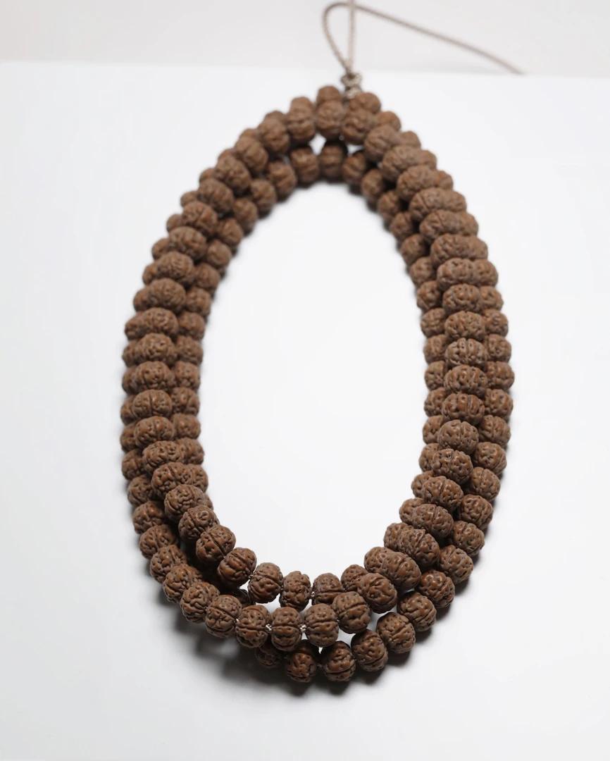 神秘一号树王108货头金刚菩提