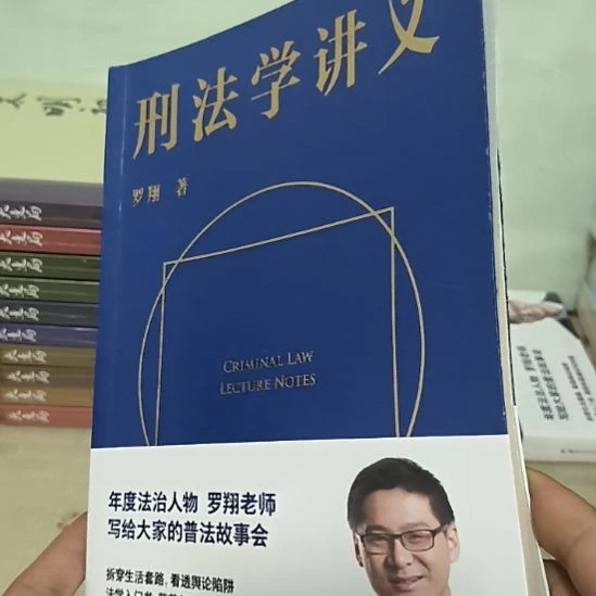 刑法学讲义，全新，无塑封
