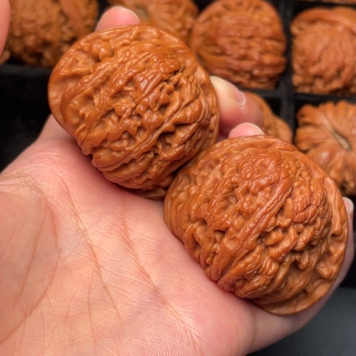 秦岭野生核桃文玩