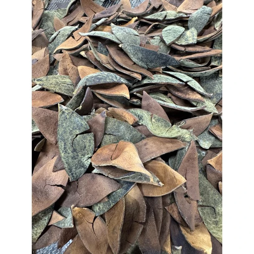 古树化橘红单爪薄皮陈年老果皮核心产区发货