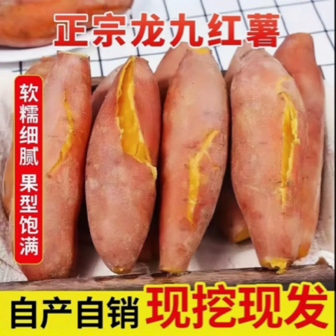 新鲜现挖沙地黄心蜜薯软糯香甜农家自种