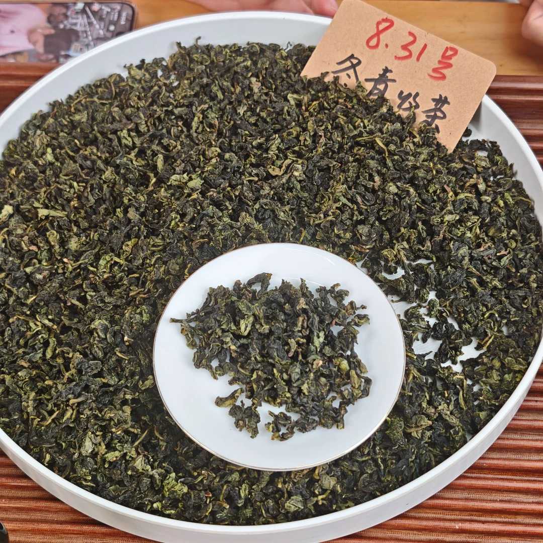 私家茶园铁观音  2025年新茶  冬青收茶