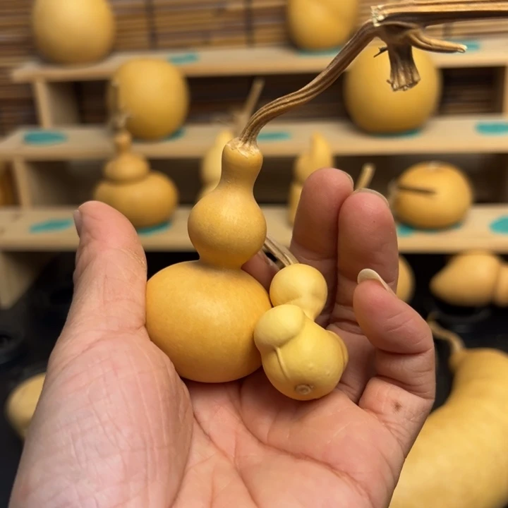 ?**N222366686666699999