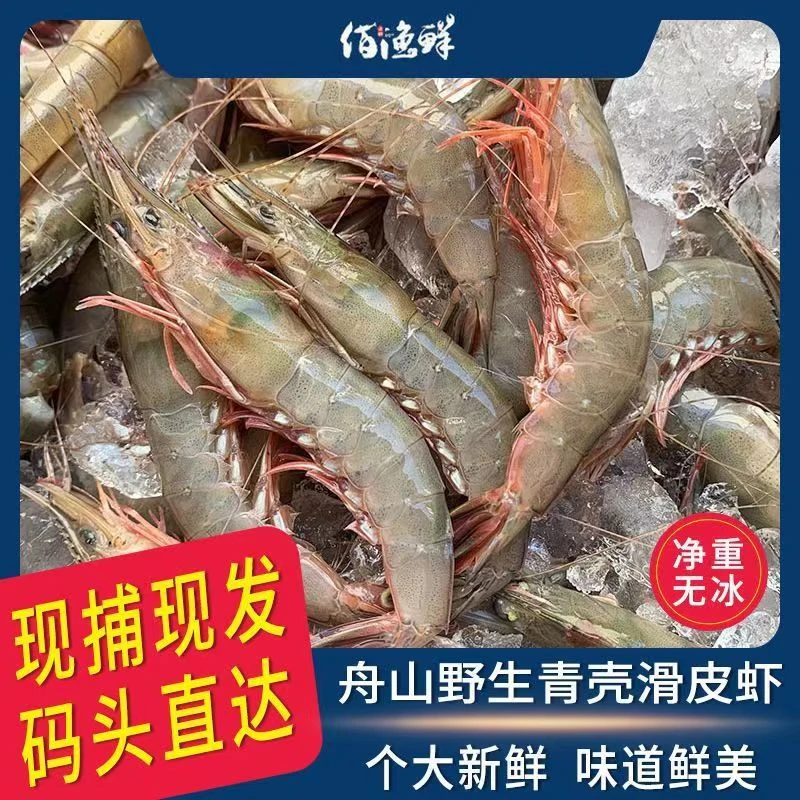 【舟山野生青壳滑皮虾】残次条虾1斤1盒鹰爪虾次品虾