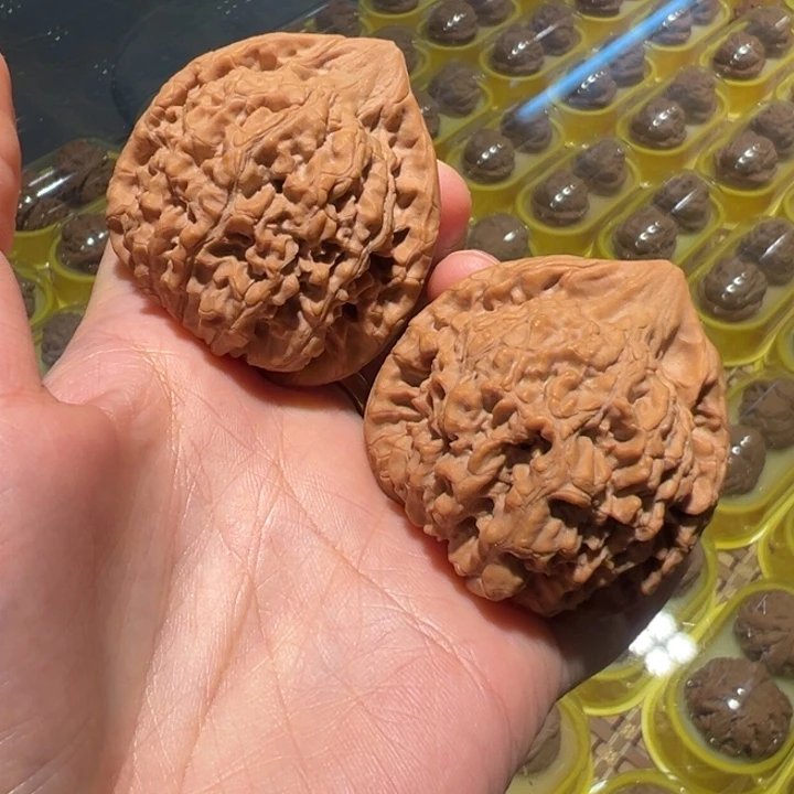 文玩核桃把件官帽