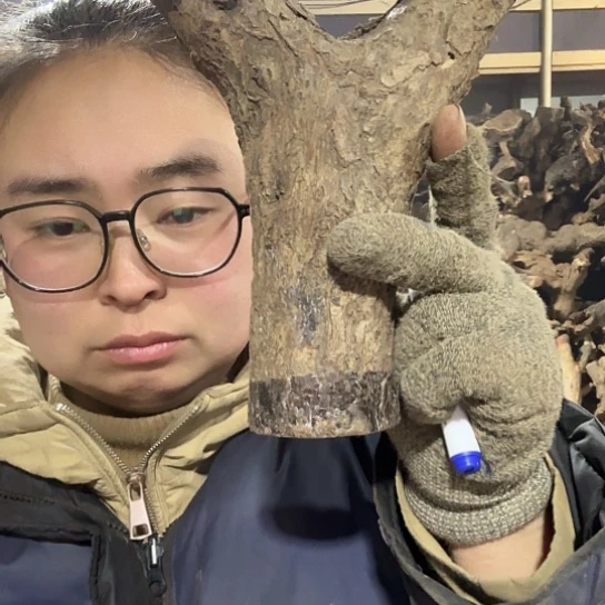 香榧木翔*火琉璃的毛料摆件