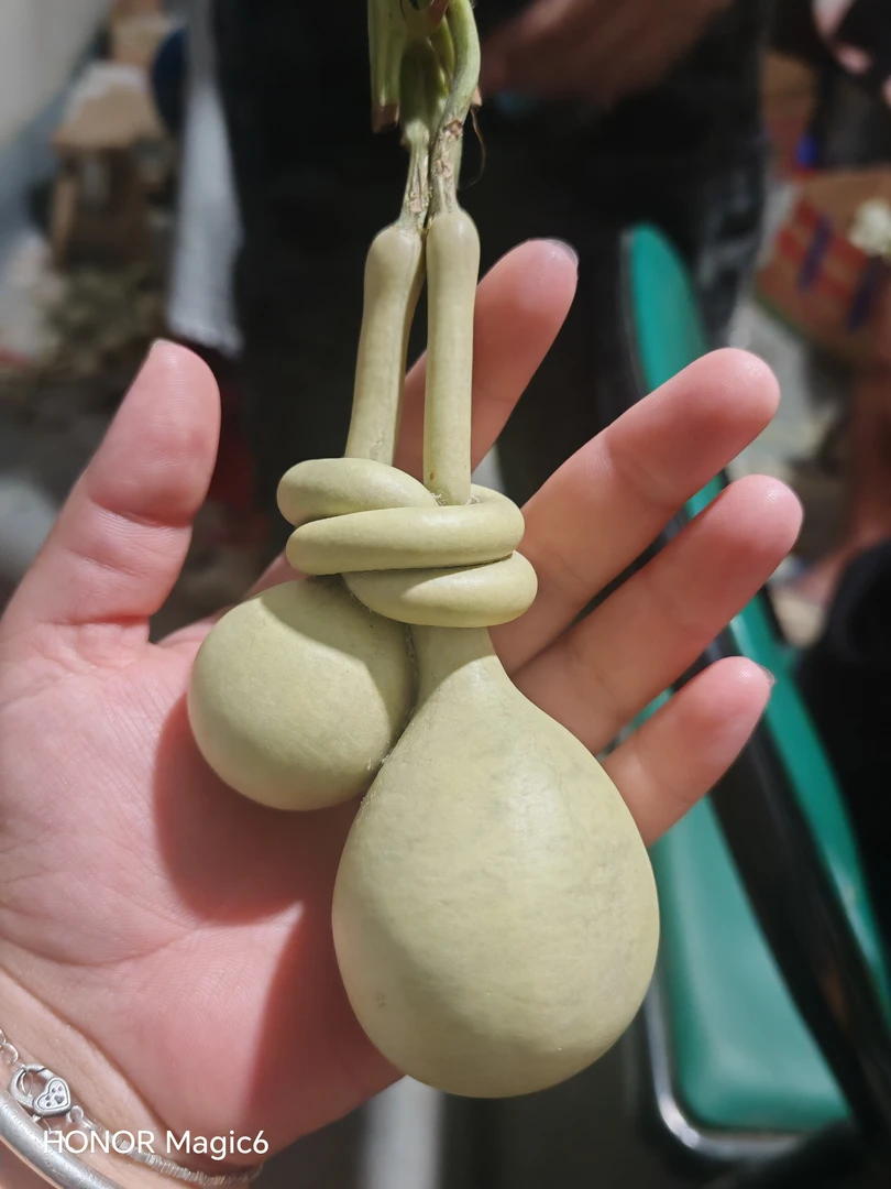 小葫芦直播间价格链接专用价