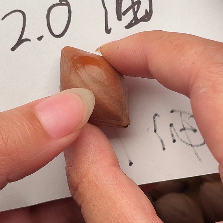 想***橄榄核手串/手链橄榄