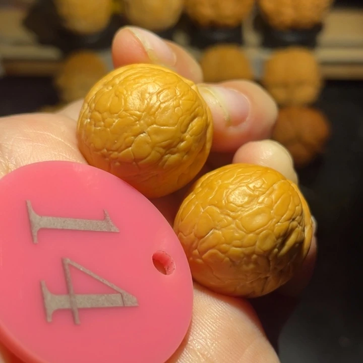 b***o金豆子24尺寸核桃