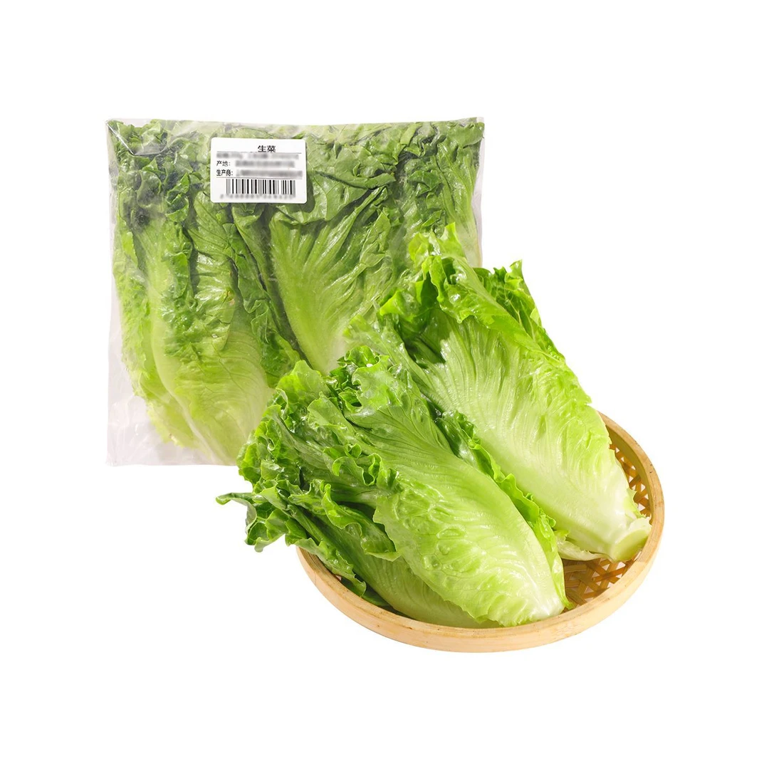生菜 约500g/份 生菜青菜