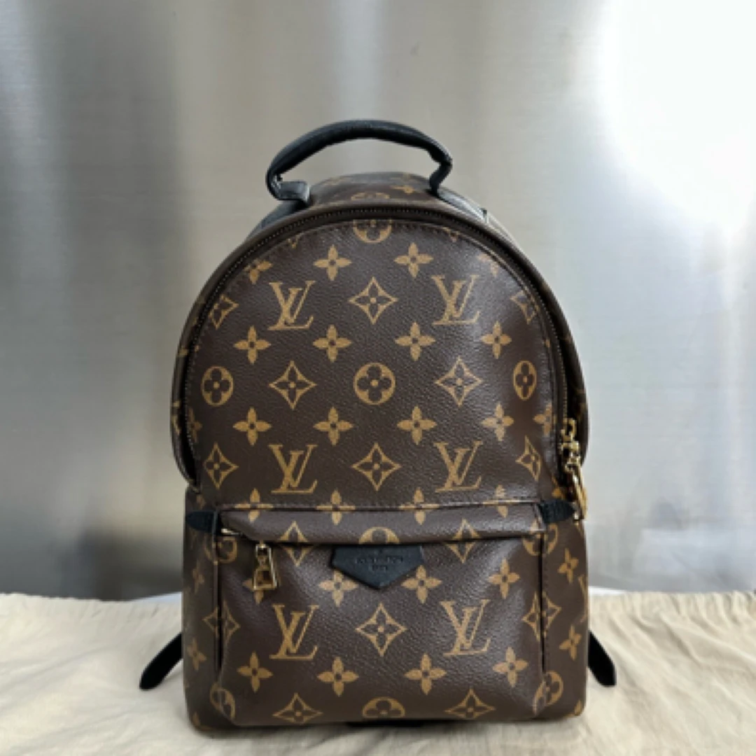 95新 LouisVuitton/路易威登 小号双肩包尺寸:21x10x29, 14207024