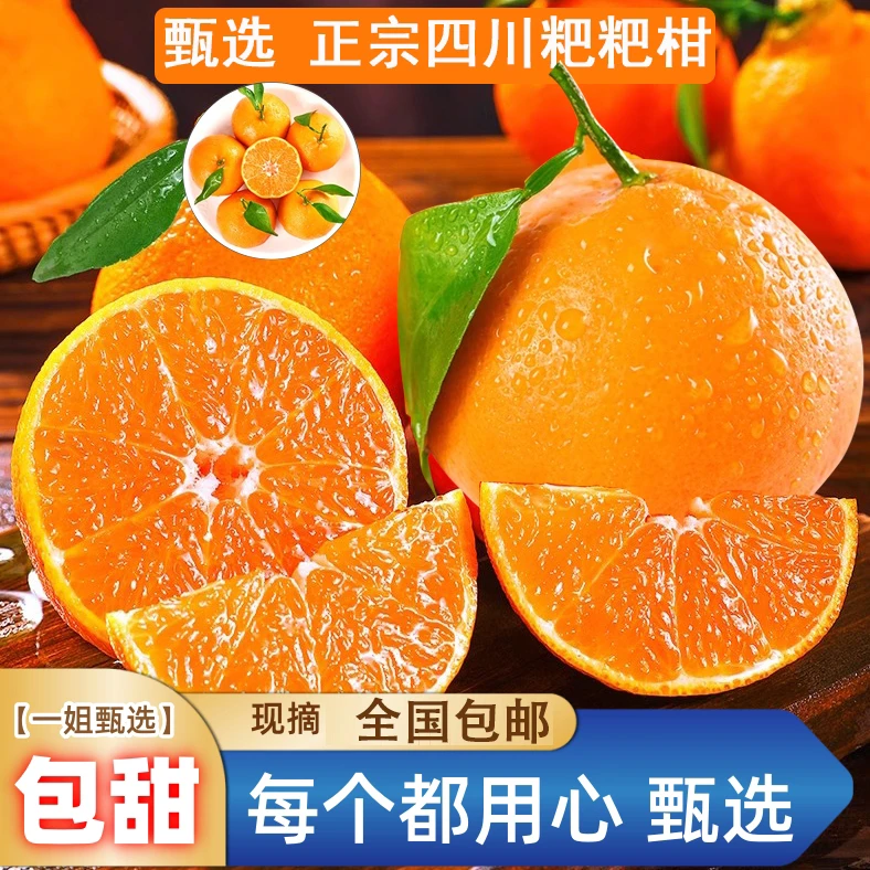 【火锅一姐甄选】四川眉山春见粑粑柑当季水果果园直发包邮