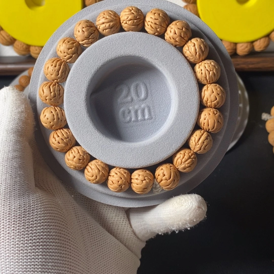 t***d磊落出品2浪浪人生