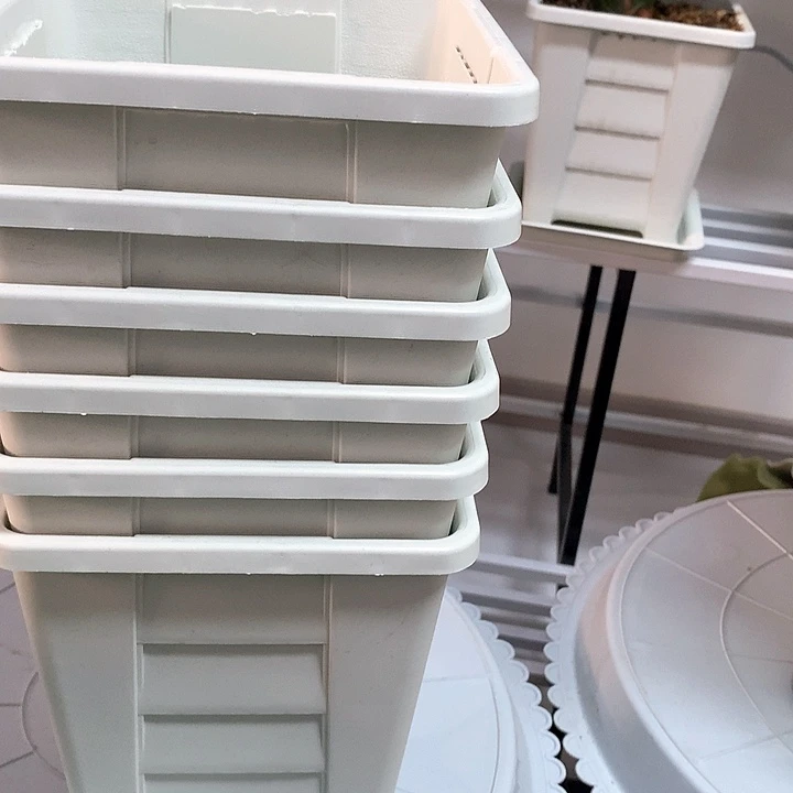 16白方无托微瑕无托6个