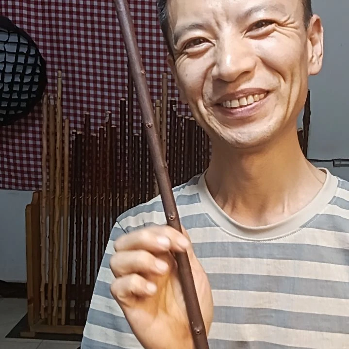 奋***后太行山北对节短棍