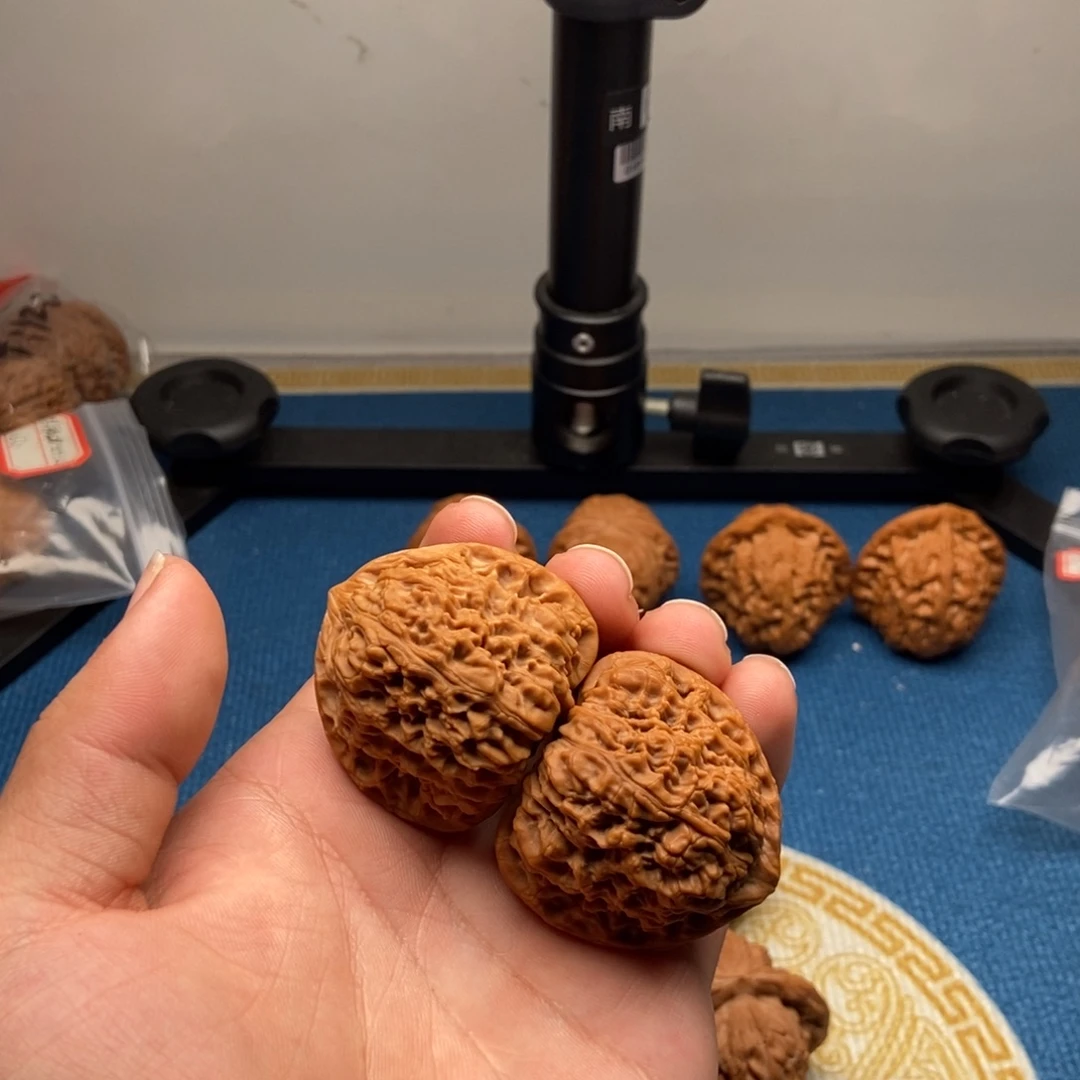 核桃41三角疆1111