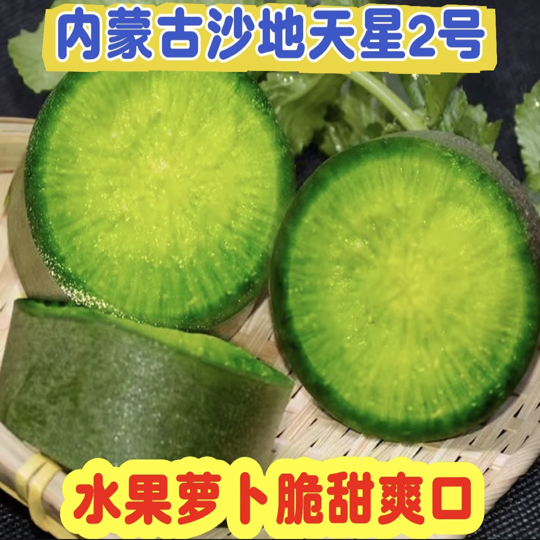内蒙古天星2号水果萝卜新鲜现挖脆甜多汁适合生吃当季农产品
