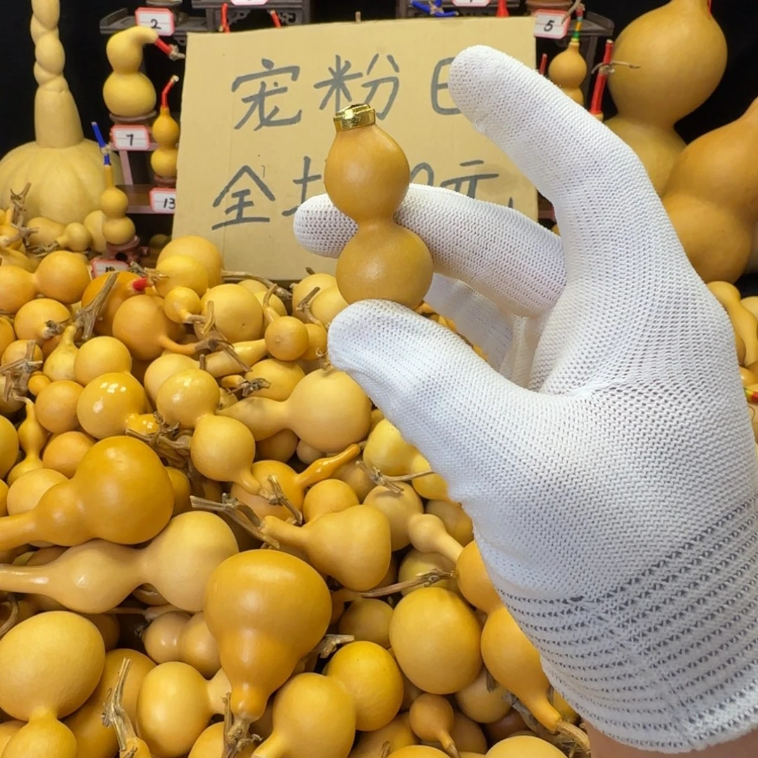 卷***柏啊啊可口可乐可口可乐啦