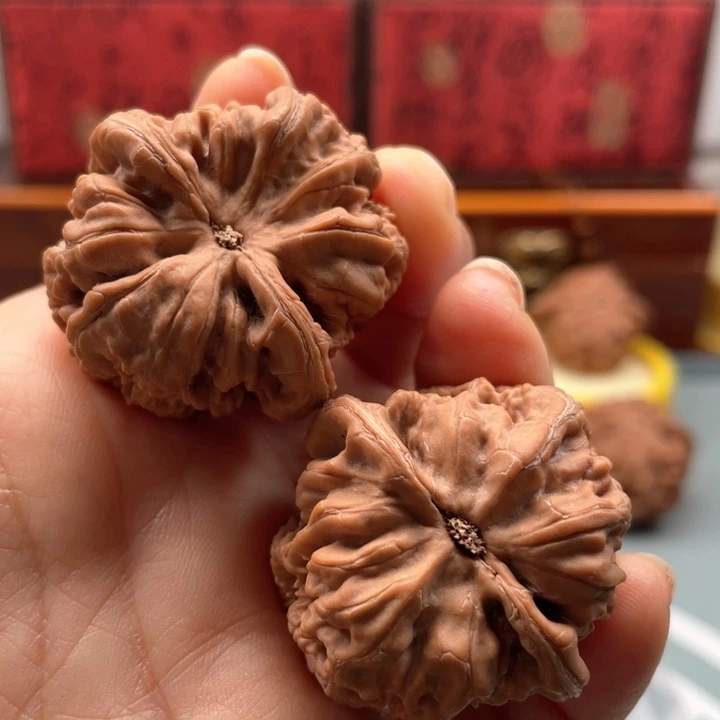 吊坠文玩核桃37粗筋