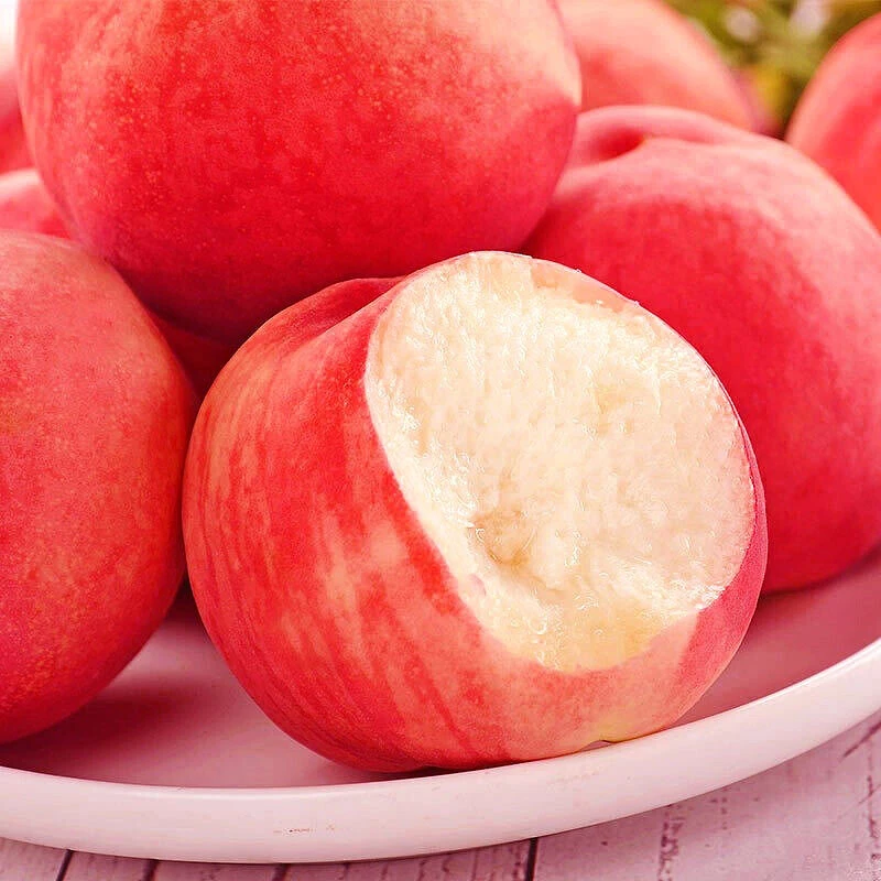 山东蒙阴金秋红蜜桃子新鲜水果冬桃当季现摘脆甜水蜜桃毛桃软桃